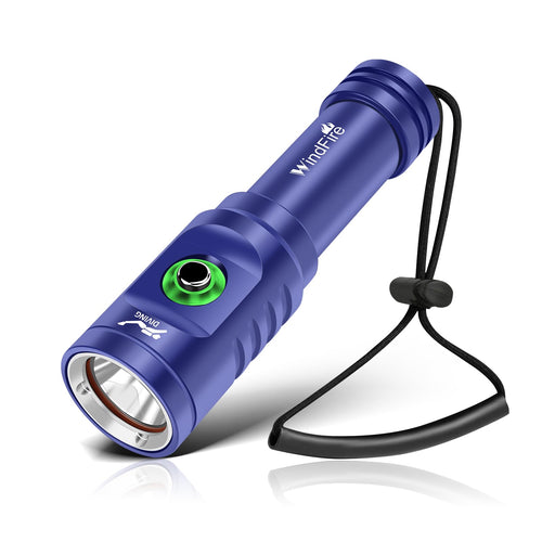 Dive Light